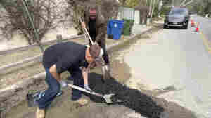 Tired of waiting, Arnold Schwarzenegger fills a pothole in his LA neighborhood