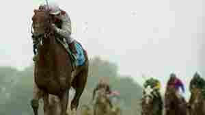 Remembering Funny Cide, a gutsy longshot of a horse who nearly won the Triple Crown