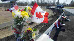 Report questions the Mounties in a probe examining the Nova Scotia mass shootings