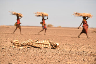 An Agricultural Drought In East Africa Was Caused by Climate Change, Scientists Find