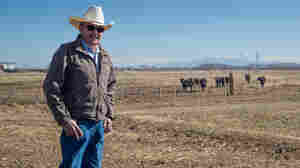 Once 'paradise,' parched Colorado valley grapples with arsenic in water