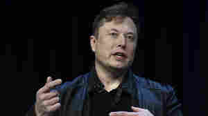 Elon Musk just became Twitter's largest shareholder