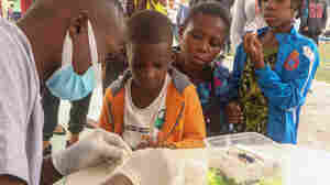 New malaria vaccine offers a ray of hope to Nigeria. There's just one thing ...