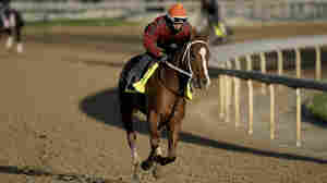 A trainer is suspended from the Kentucky Derby after 2 of his horses died