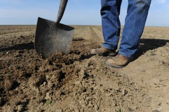 California Considers ‘Carbon Farming’ As a Potential Climate Solution. Ardent Proponents, and Skeptics, Abound