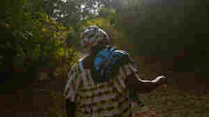 Meet the people safeguarding the sacred forests and lagoons of West Africa