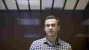 Jailed Russian opposition leader Alexei Navalny is ill, perhaps poisoned, an aide says