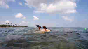 'It's not for the faint-hearted' — the story of India's intrepid women seaweed divers