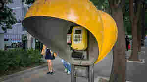 A public payphone in China began ringing and ringing. Who was calling?