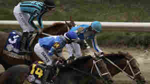 Mage has won the Kentucky Derby, at a race meeting marred by 7 horse deaths