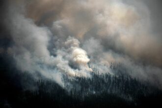 Wildfires in Northern Forests Broke Carbon Emissions Records in 2021