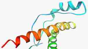 Killer Proteins: The Science Of Prions