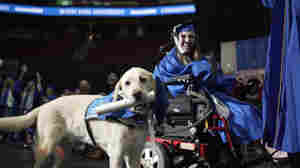 A service dog gets his own college diploma, winning huge cheers