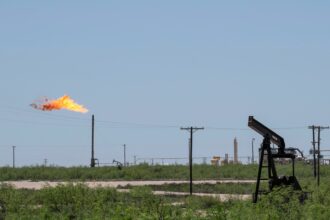 Texas Environmentalists Look to EPA for Action on Methane, Saying State Agencies Have ‘Failed Us’