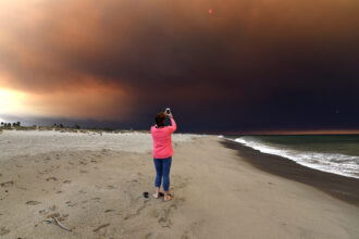 Wildfire Smoke May Worsen Extreme Blazes Near Some Coasts, According to New Research