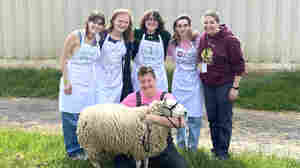 In a Sheep to Shawl competition, you have 5 people, 1 sheep, and 3 hours — good luck!