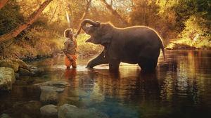 An Oscar for 'The Elephant Whisperers' — a love story about people and pachyderms