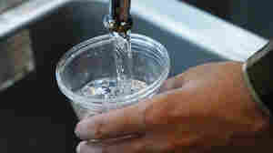 'Forever chemicals' could be in nearly half of U.S. tap water, a federal study finds