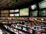 All you need to know about sports betting in the US. Who's playing by the rules and who's rolling the dice?