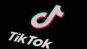 New Zealand lawmakers banned from TikTok amid data use fears