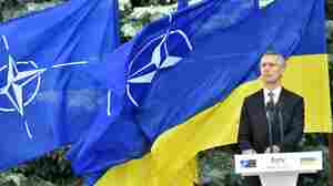 After the Ukraine war, what comes next? NATO allies don't agree