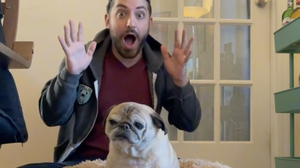 This floppy 13-year-old pug can tell you what kind of day you're going to have