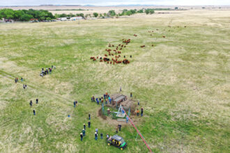 Climate-Smart Cowboys Hope Regenerative Cattle Ranching Can Heal the Land and Sequester Carbon