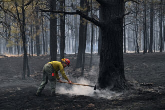 The US Forest Service Planned to Increase Burning to Prevent Wildfires. Will a Pause on Prescribed Fire Instead Bring More Delays?