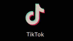 TikTok's new text post format is similar to, but not the same as, Threads and Twitter