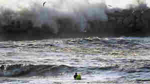 Surf's up! Wave heights increase on California's coasts as climate warms