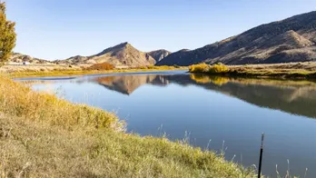 Otter attack injures 3 women on Montana river, requiring airlift