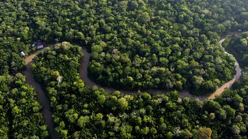 Brazil, other Amazon rainforest countries to meet for the first time in 14 years over environmental threats