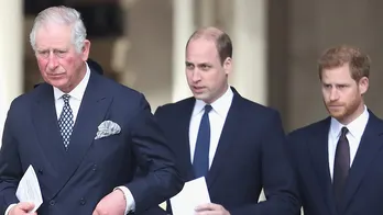 Prince Harry's feud with King Charles, Prince William at intervention point: expert