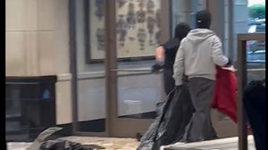 A 'mob of criminals' stole more than $300,000 worth of goods from an LA Nordstrom