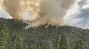 Record heat boosting wildfire risk in Pacific Northwest