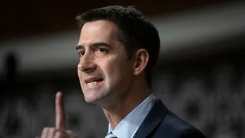 Dems act like a 'phalanx of bodyguards' toward Biden but shrug off 'rogue' prosecutions of Republicans: Cotton