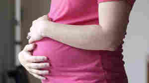 1 in 5 women report mistreatment from medical staff during pregnancy