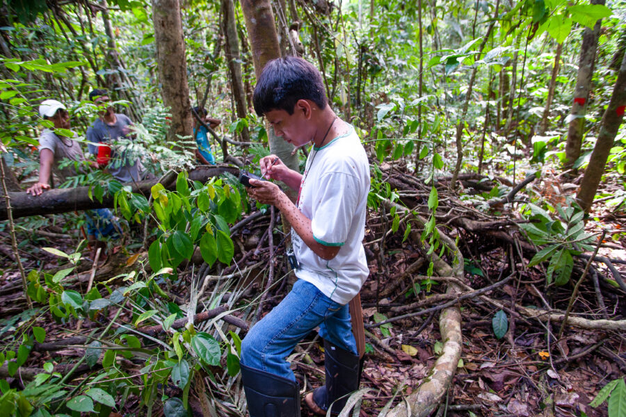 Carbon Offsets to Reduce Deforestation Are Significantly Overestimating Their Impact, a New Study Finds