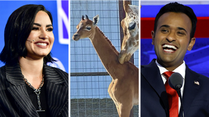 Weekly news quiz: From mug shots and debate insults to meme dogs and a giraffe baby