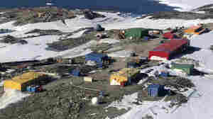 An Australian who fell ill at a remote Antarctic base is rescued, authorities say