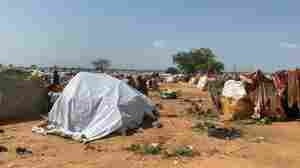 Sudanese refugees in Chad scramble to survive