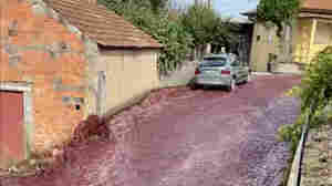 Cascades of red wine flood a city's streets in Portugal after huge tanks rupture