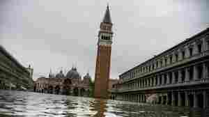 Venice may be put on the endangered list, thanks to human-created climate change