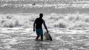 As Hurricane Lee churns off the eastern U.S., another danger lurks: rip currents