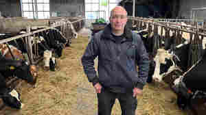 In the Netherlands, a farmers party taps into widespread discontent with government