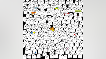 Halloween brain teaser: Can you find the panda hidden in this ghostly crowd?