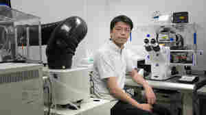 Japanese scientists race to create human eggs and sperm in the lab