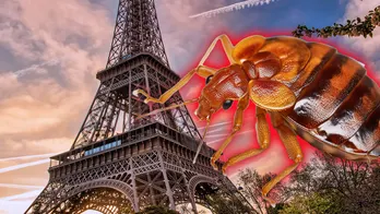 Paris resident feels like a 'plague victim' as bedbug infestation crawls into public spaces