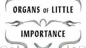 'Organs of Little Importance' explores the curious ephemera that fill our minds