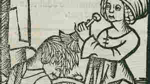 Having lice ain't nice. But they tell our story, concise and precise